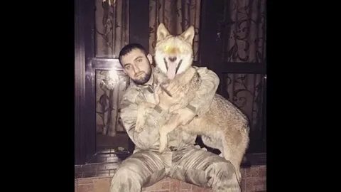 Собака нохча