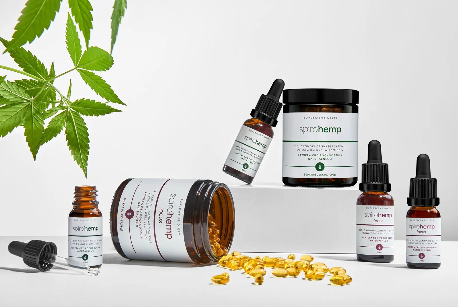 Reference products. Hemp care logo. oil products. production oil logo.
