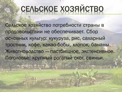 Особенности венесуэлы