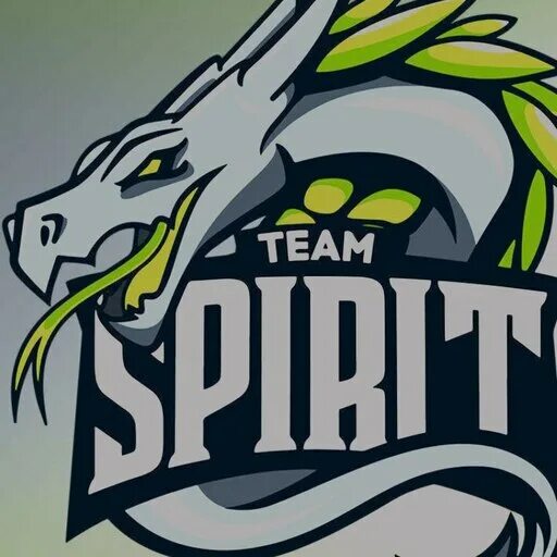 Team spirit shopify. Team Spirit logo 2021. Тим спирит чемпионы. Тим спирит старый логотип. Тим спирит дота 2.