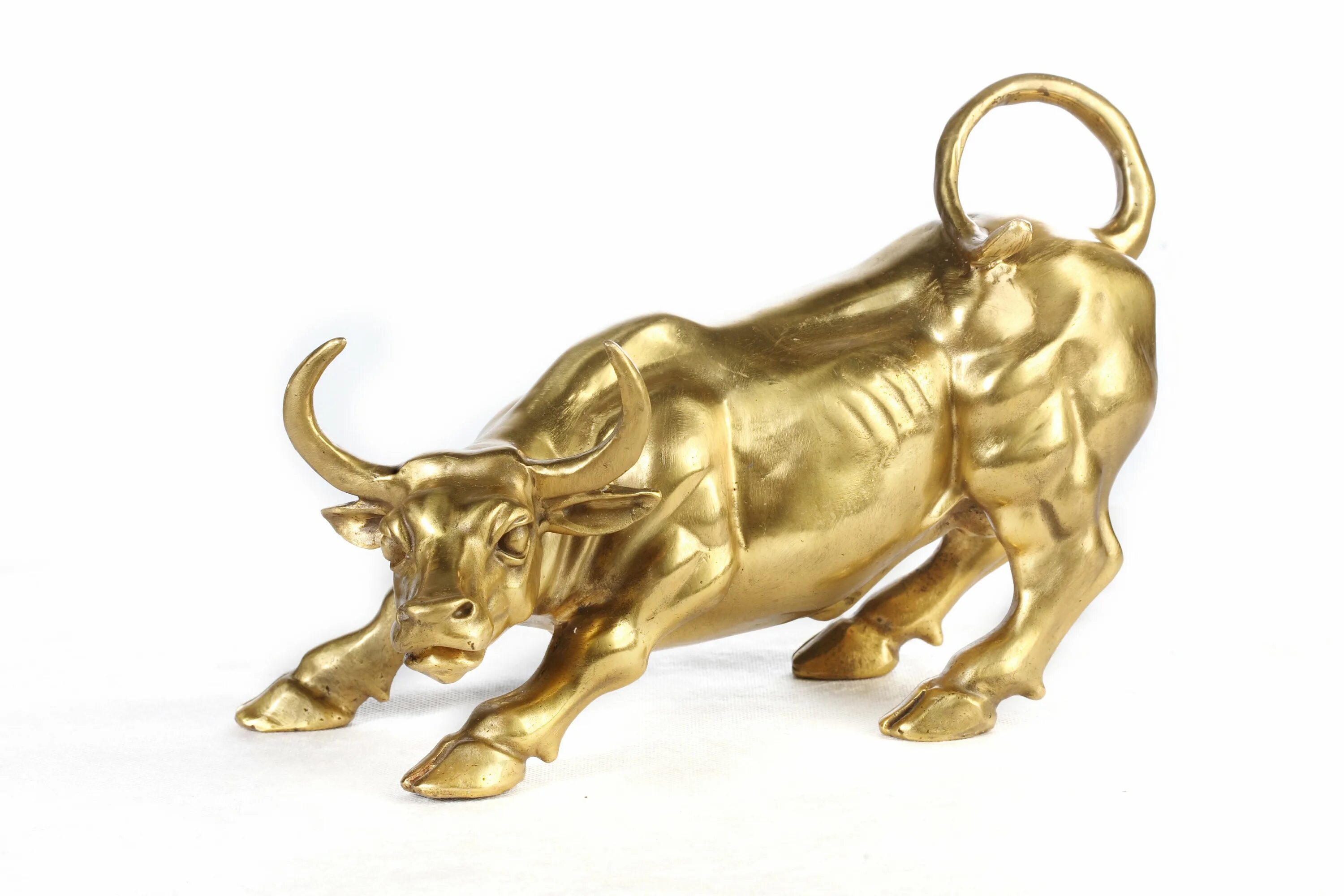 Телец бык весы бык. Телец бык весы бык. Таурус бык телец золотой. Весы. Телец бык весы бык.