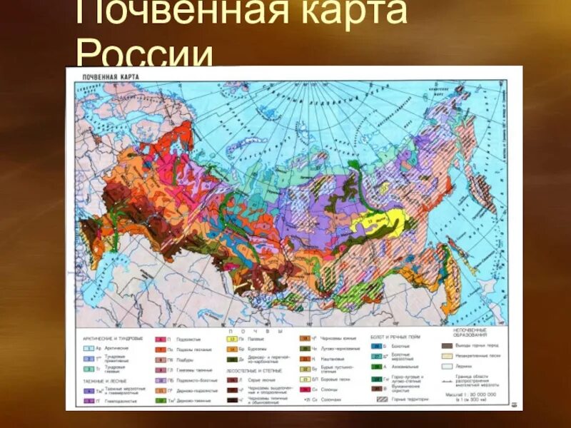 Карта типов почв. Карта типов почв