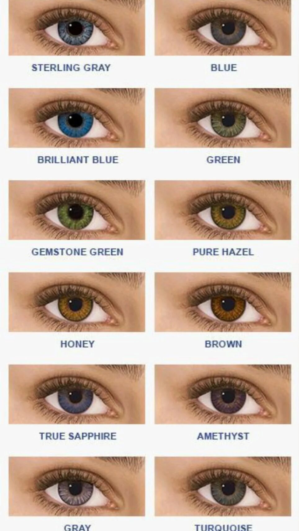 Какие цвета линз для глаз. Контактные линзы freshlook colorblends. линзы freshlook green. линзы freshlook sterling gray. freshlook alcon green.