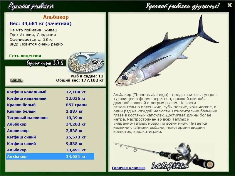 Какую рыбу сейчас можно ловить. Альбакор рыба. Какая рыба ловится в Оби. Центролоф черный русская рыбалка. Альбакор 680.