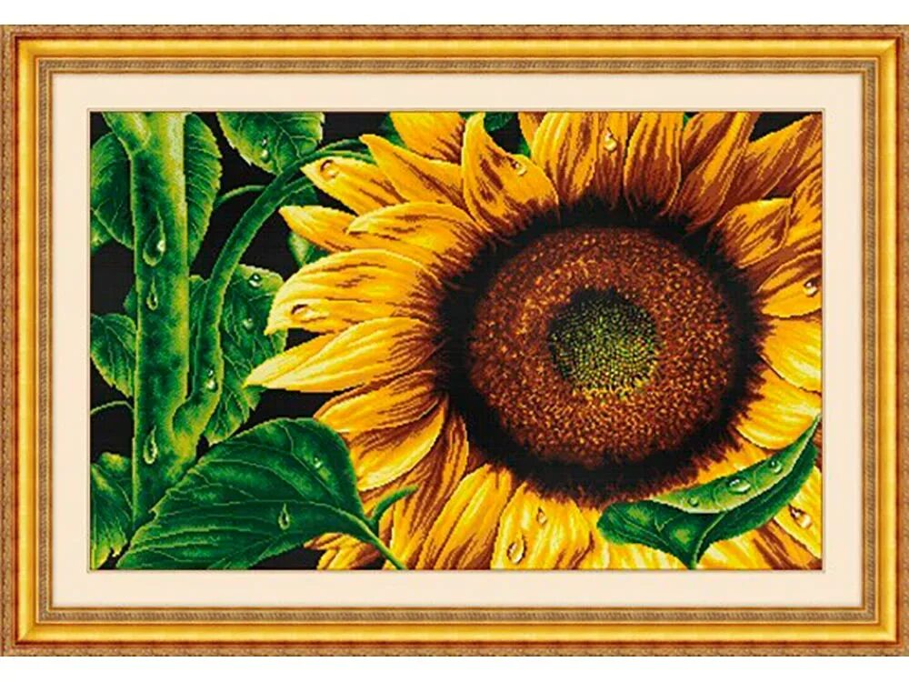 подсолнухи и бабочка. подсолнух на гальке. подсолнечник сорт «варяг» рс1. камень подсолнечник. масляничный подсолнечник семя.