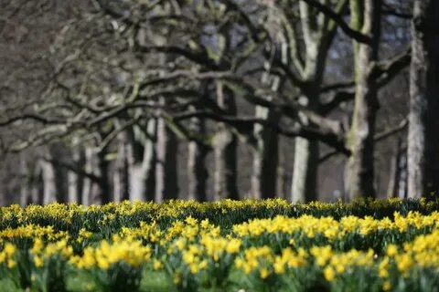 Spring begins