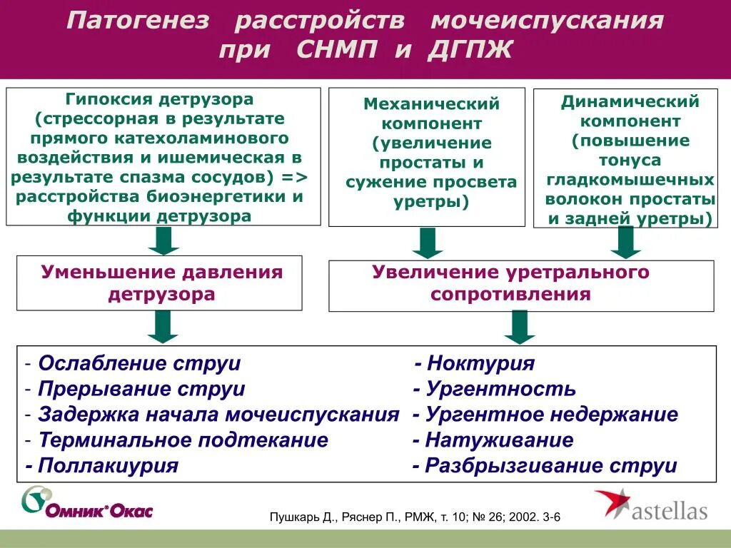 Расстройство мочеиспускания латынь. Нарушение мочеиспускания патогенез. Доброкачественная гиперплазия предстательной железы патогенез. Патогенез мочеиспускания.