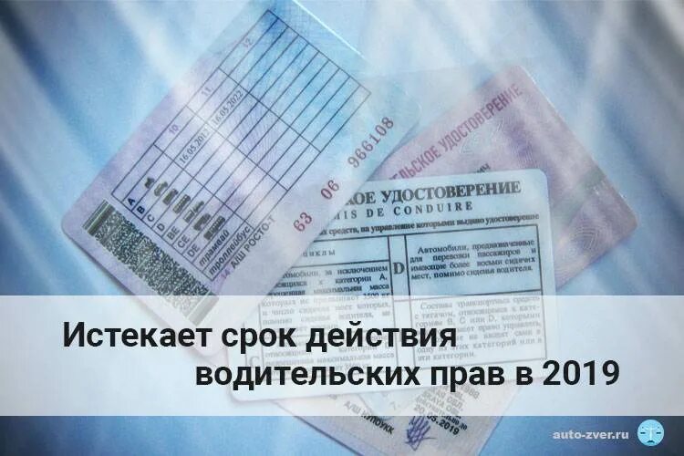 Замена иностранных прав гражданам россии. Срок действия водительских прав. Продлены сроки действия водительских удостоверений. Срок годности водительских прав.