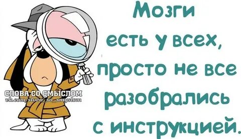 Мозги есть но мало