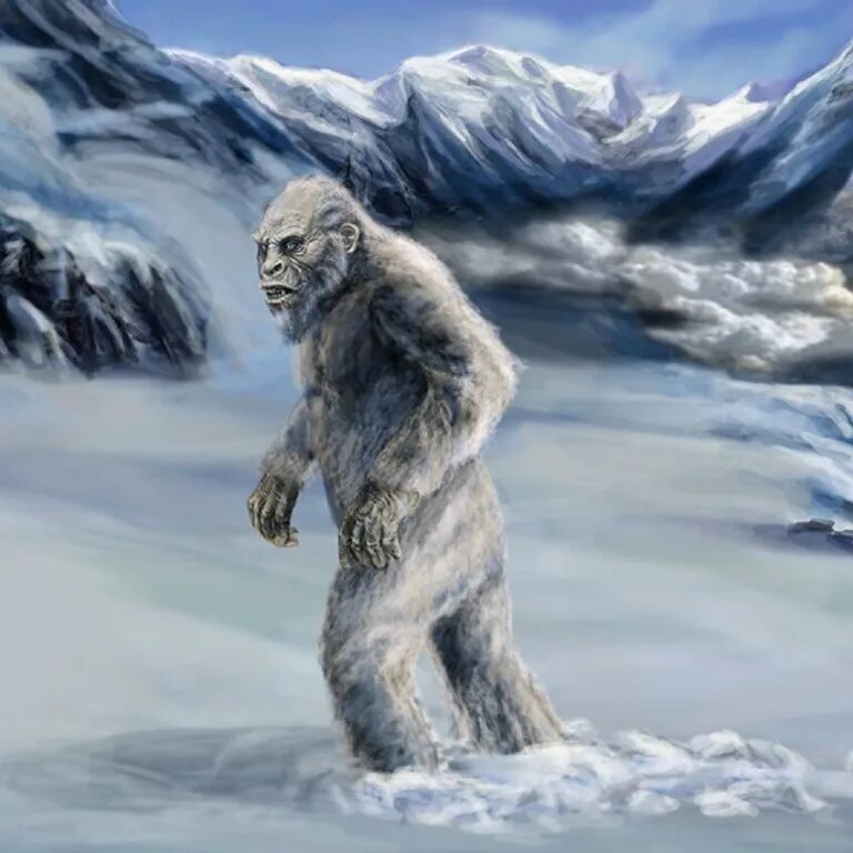 Почему йети. Йети снежный. снежный человек -1000 scp 1000. йети мифология. йети в гималаях.