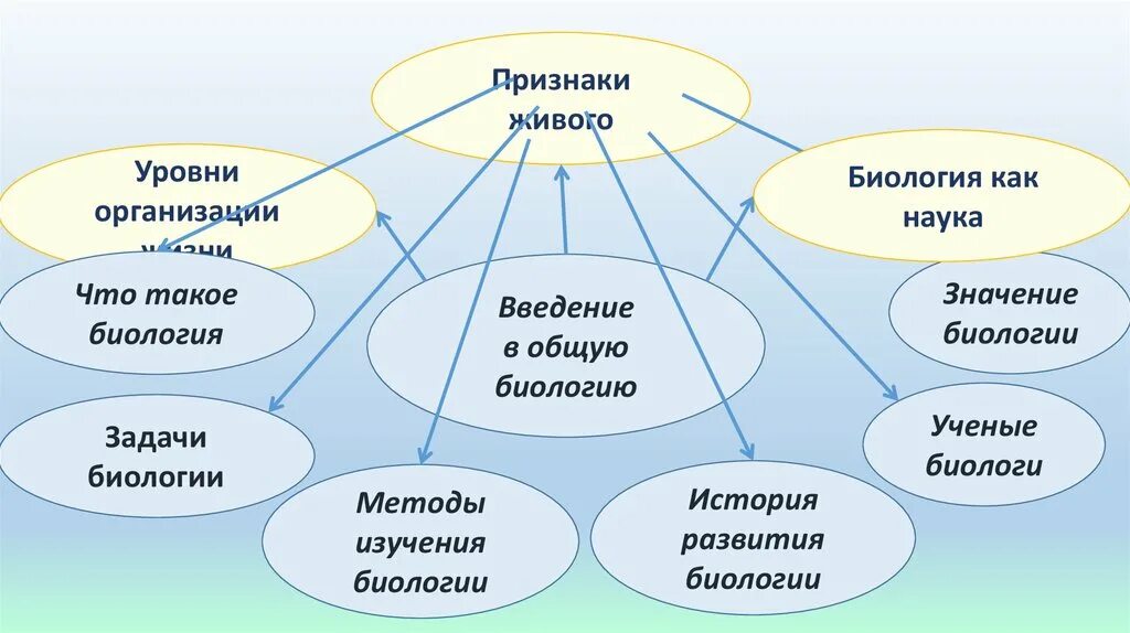 Признаки науки биологии. Основные признаки живых организмов. Признаки живого. Признаки живых организмов биология. Признаки живого в биологии.