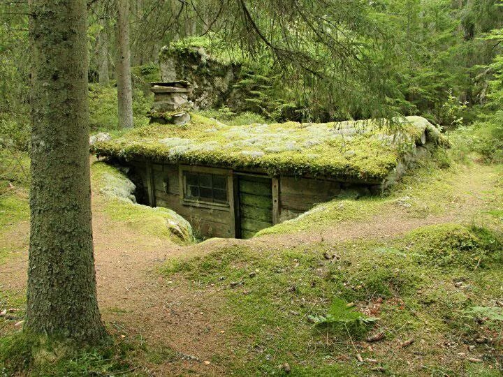 Землянку 1 в лесу. Замаскированная партизанская землянка. землянки борисфенида. сооружения в лесу. замаскированный домик в лесу.