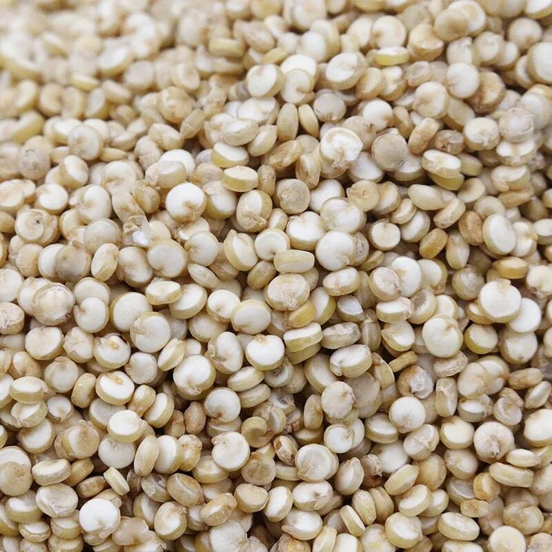семена киноа белые. крупа киноа белая, 1000г. киноа белая. семена киноа белые, кг. киноа белая.