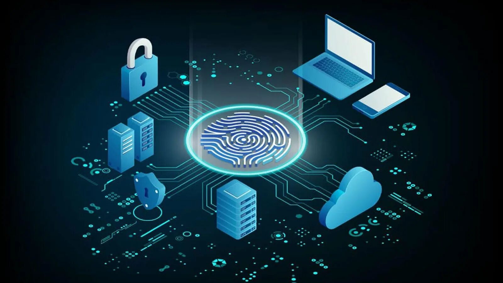 Securing information systems. Securing information systems