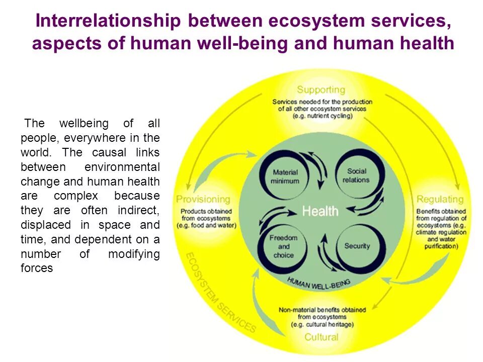 Non well being. Система well being. Модули well being. Regulating services of ecosystem. Well-being.