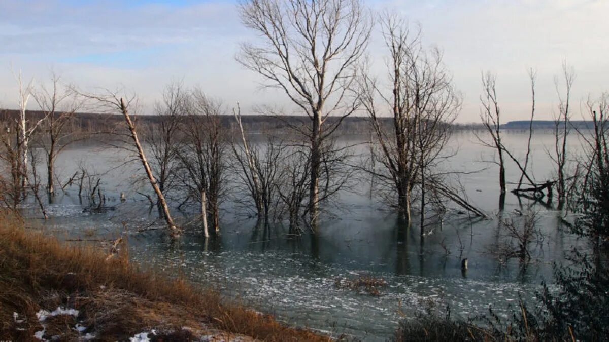 Гибнущее озеро. Озеро Гатное Самара. Ледяное озеро Самара. Озеро Гатное Самара рыбалка. Озеро Гатное Самара фото.