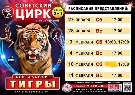 Цирк июнь мытищи
