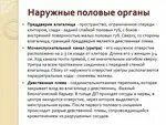 Строение девственной плевы. Строение девственной плевы
