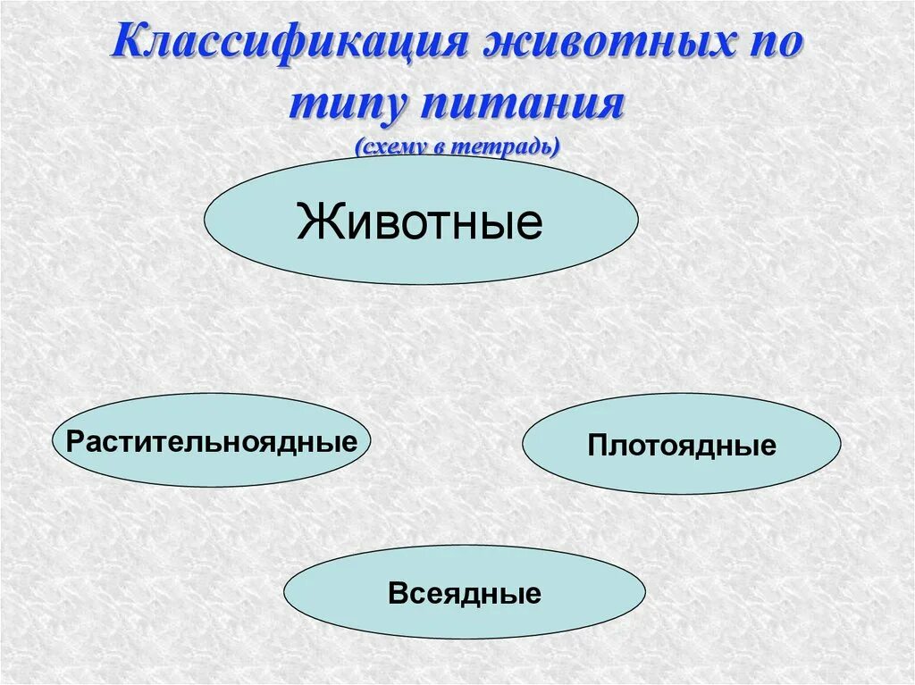 Типы питания животных. Животные по типу питания. животные тип питания. классификация животных по типу питания.
