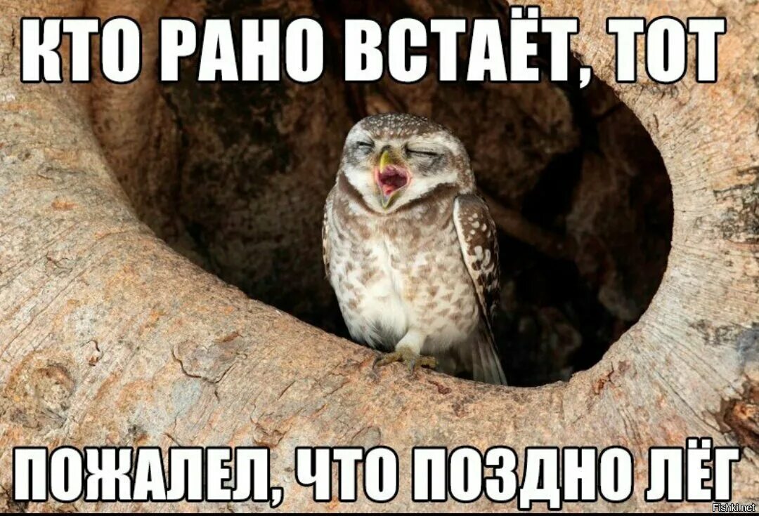 Рота уже залегла перед. Кто рано встает. Кто рано встает приколы. Кто рано встает тот. Кто ОАНО встаёт приколы.