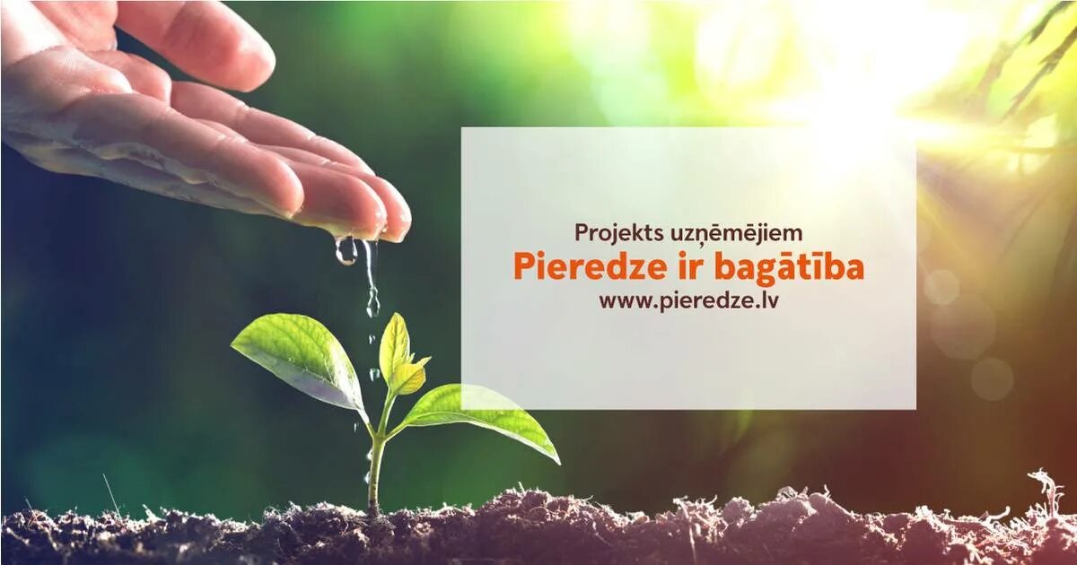 Росток новой жизни. Время сеять и время пожинать. Притча о семени. Проявление доброты. Твое право сеять то что ты хочешь.