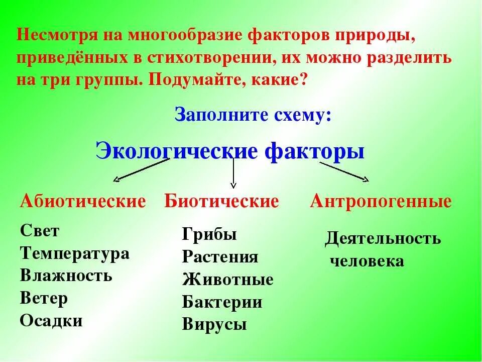 Что не относится к антропогенным факторам среды. Факторы среды 5 класс биология. Экологические факторы. Дэкологические фактор. Экологические факторы среды 5 класс биология.