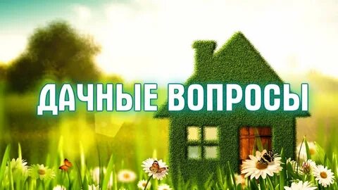 Вопросы дачи
