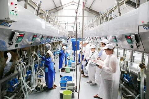 Лен обл вакансии работа