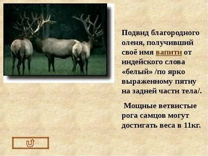 Тема благородная