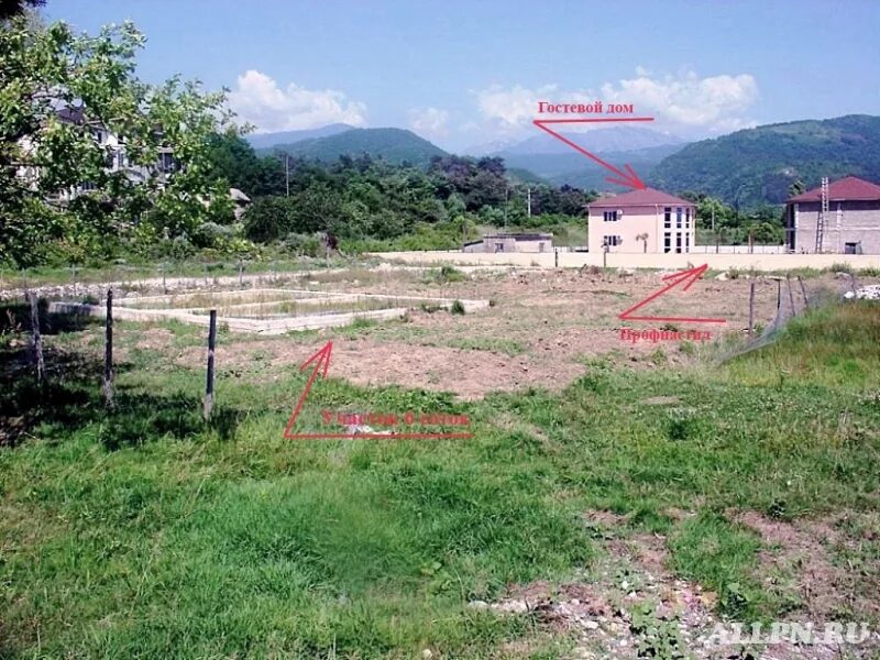 Участок в абхазии. Земельный участок в абхазии. 6 соток земли абхазия. фото 6 соток земли в абхазии. мандариновый сад 6 соток земли на продажу в абхазии фото.