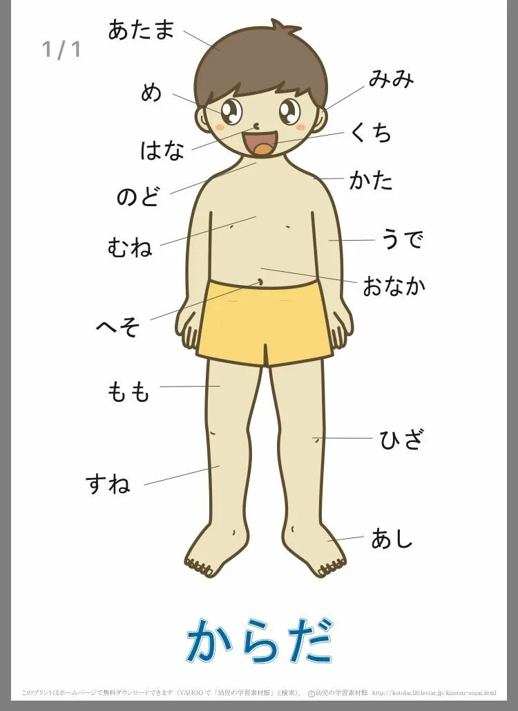 чтение японских иероглифов. переводчик с русского на японский. как учить японский язык самостоятельно с нуля. японская сова. японские слоги.