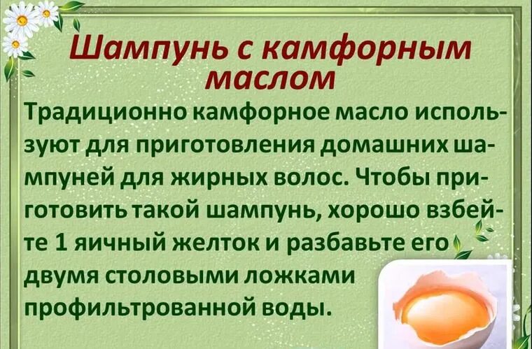 Масло камфорное инструкция для чего. Свойства камфорного масла масло. камфорное масло для чего. камфорное масло применение. шампунь на камфорном масле для волос.