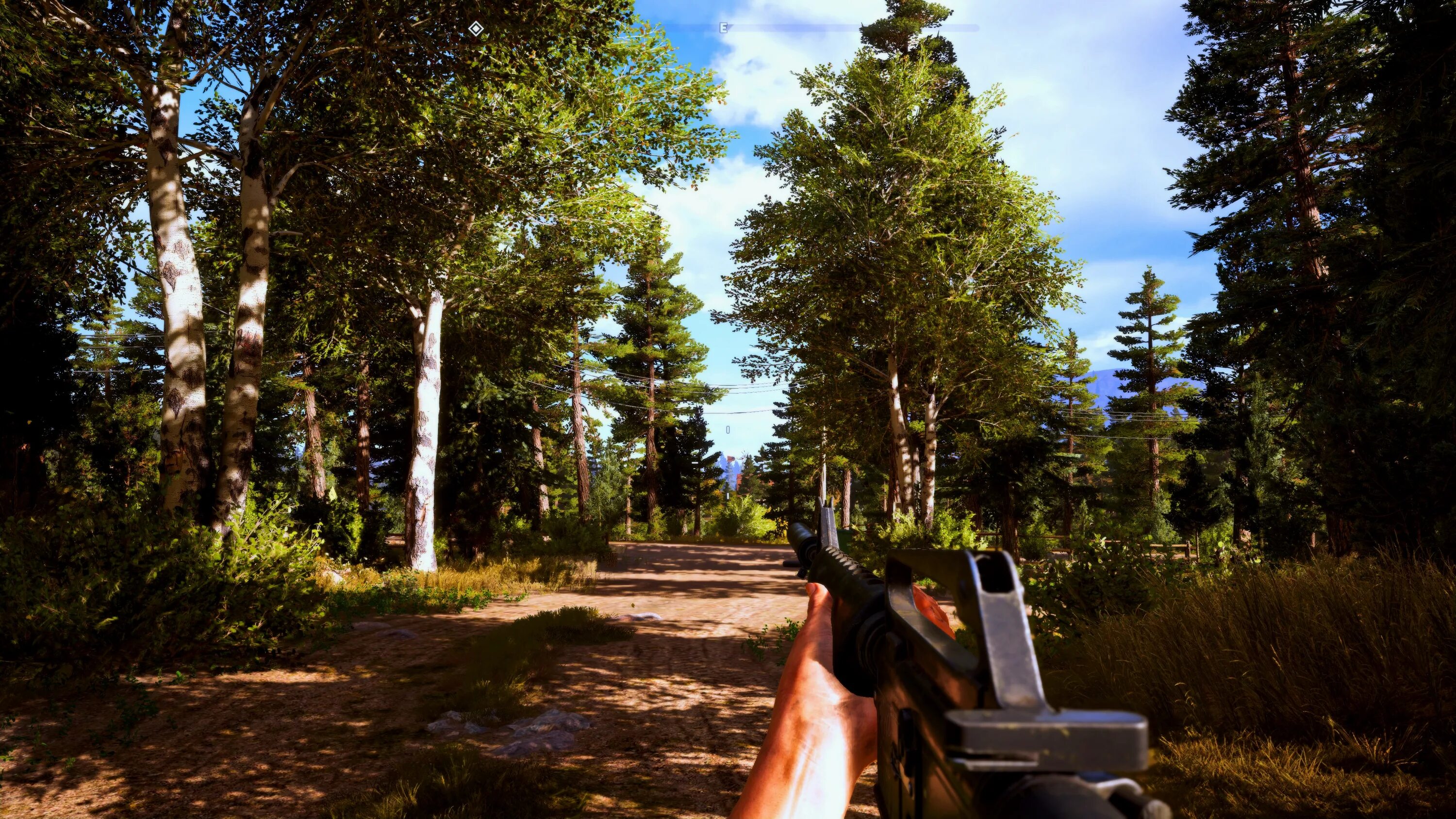 Far Cry 5. Far Cry 5 Remastered. Монтана far Cry 5. Far Cry 5 лес.