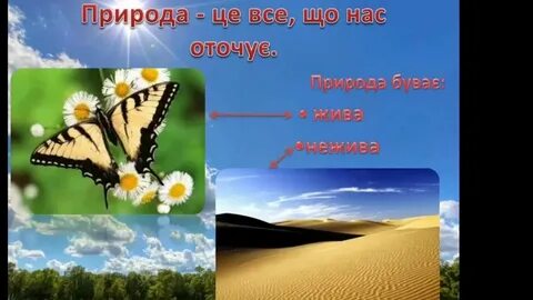 Живая природа в городе 3