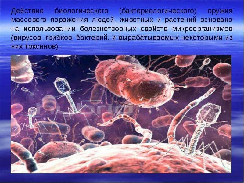 Массовая болезнь животных на определенной территории называется