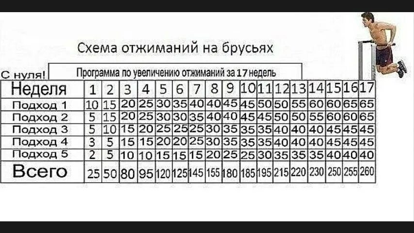 Упражнения 6 недель. Брусья таблица подходов. Схема подтягиваний и отжиманий на брусьях. Схема отжиманий на брусьях для роста мышц. Схема увеличения отжиманий на брусьях.