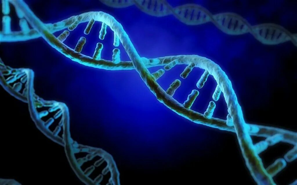 10 5 клеток днк. Клетка ДНК. ДНК фото. ДНК человека. Клетка ДНК картина.