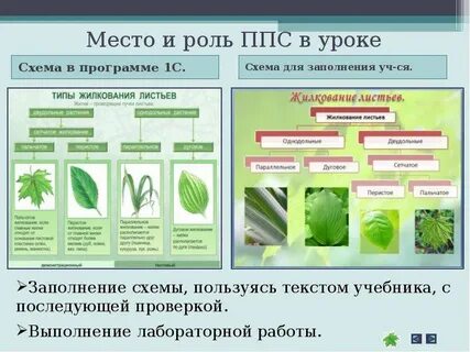 Заполненные схемы урока