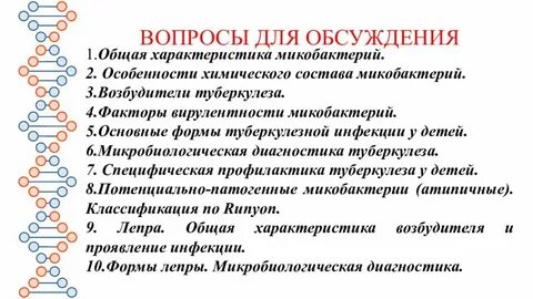 Микобактерия туберкулеза особенности