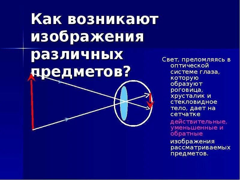 Доклад по физике на тему зрение