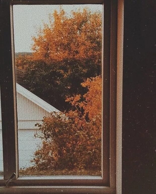 Pin on Doors and Windows. Autumn scenes, Autumn leaves, Fall pictures