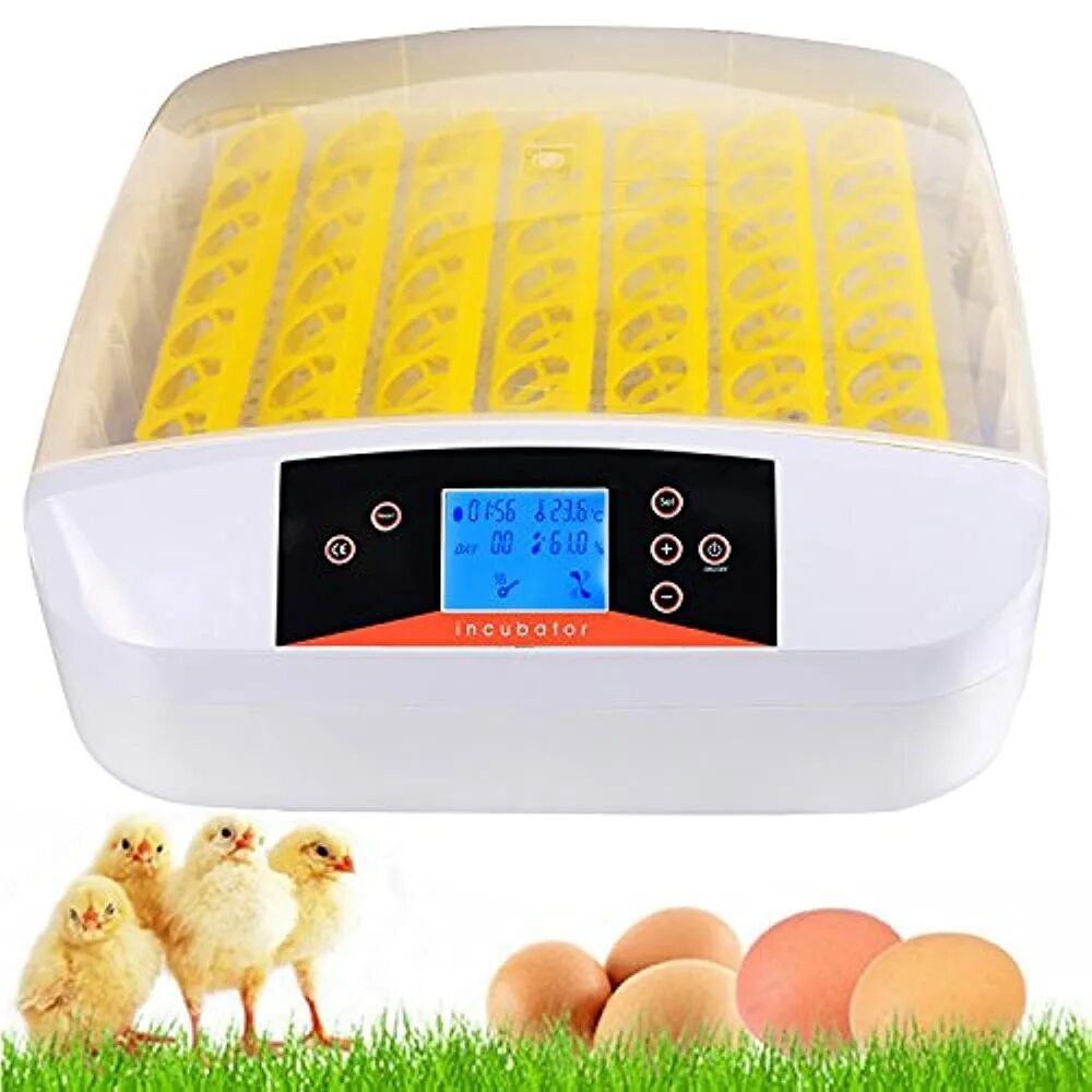 Купить инкубатор для яиц кур. Инкубатор Egg incubator. Инкубатор для яиц Egg incubator 56. Инкубатор Egg 56 HHD. Инкубатор Egg incubator 6.