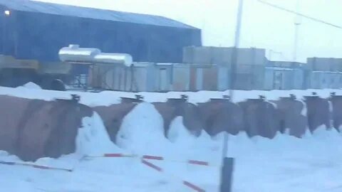 Погода бованенково две