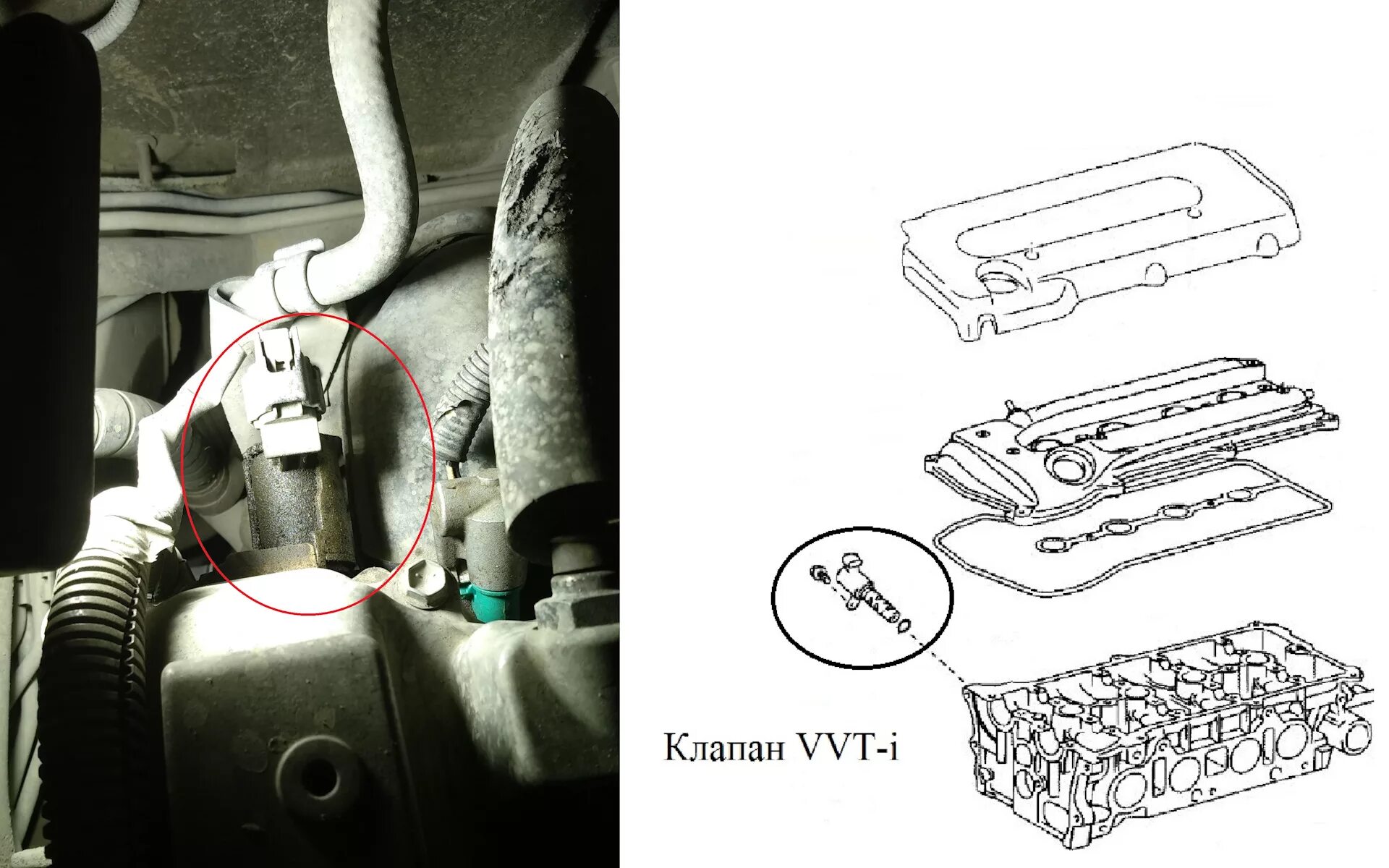 Где находится клапан vvt Замена прокладки впускного, чистка ДЗ, клапана VVT-i и сеточки. Toyota Wish (A