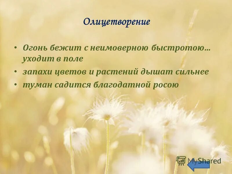 Метафора примеры из литературы. Край мой заброшенный есенин. Найти в стихе сравнение. Метафора к слову ветер. Край любимый метафоры.