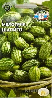 Мелотрия семена