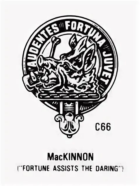Audaces fortuna. Audentes fortuna juvat тату. fortes fortuna adjuvat татуировка. audaces fortuna juvat тату. fortes fortuna adiuvat.