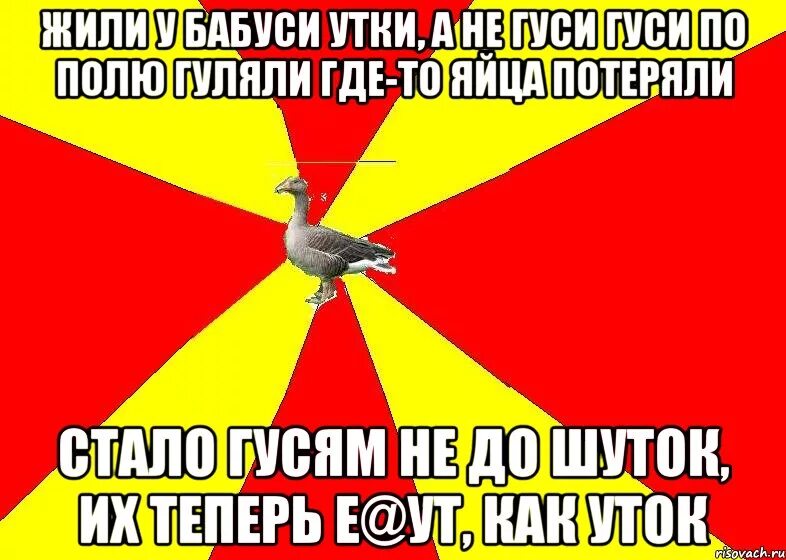 Мемы про гусей