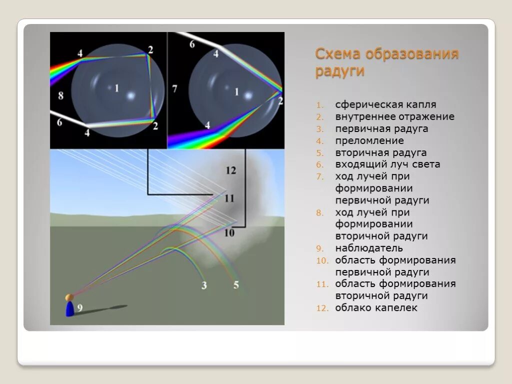 При попадании солнечного света на капли дождя. Схема образования радуги. Схема наблюдения радуги. Образование первичной радуги. Ход лучей при образовании радуги.