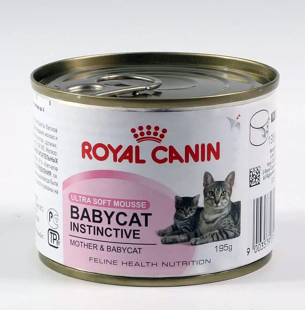 Royal Canin Babycat паштет. Консервы для кошек Роял Канин паштет. Корм для котят Royal Canin Instinctive 195 г. Роял Канин для котят влажный банка. Влажный корм для кошек jarvi